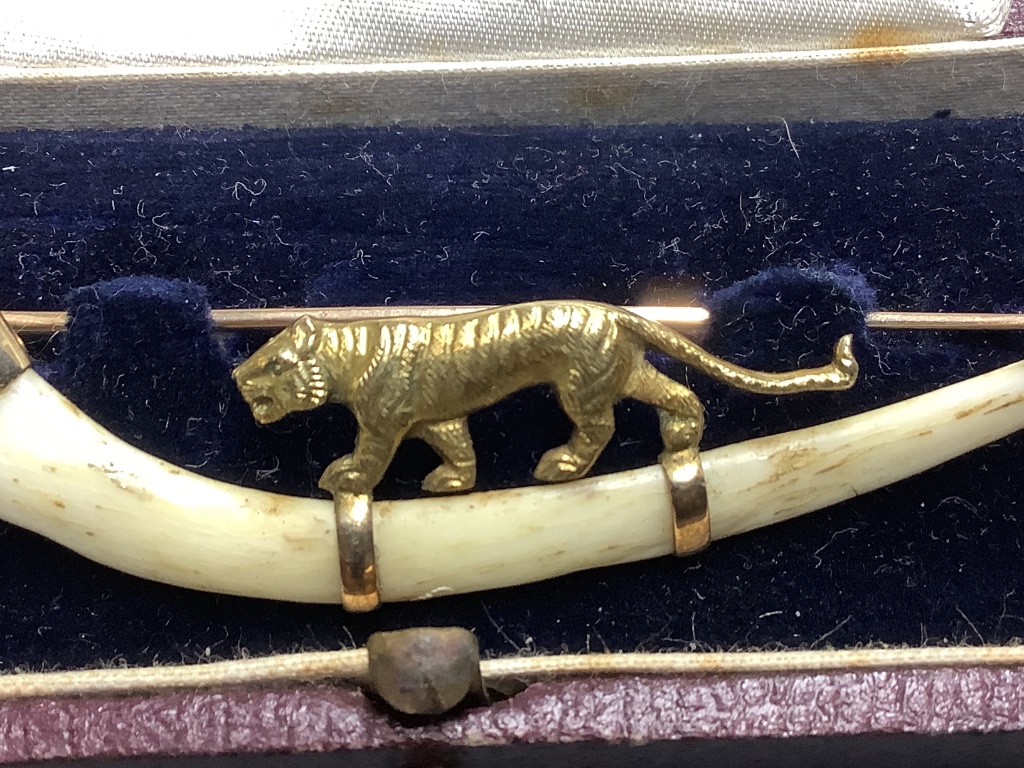 An Indian 14ct and bone mounted 'tiger' set curved brooch, by Hamilton & Co, in original box